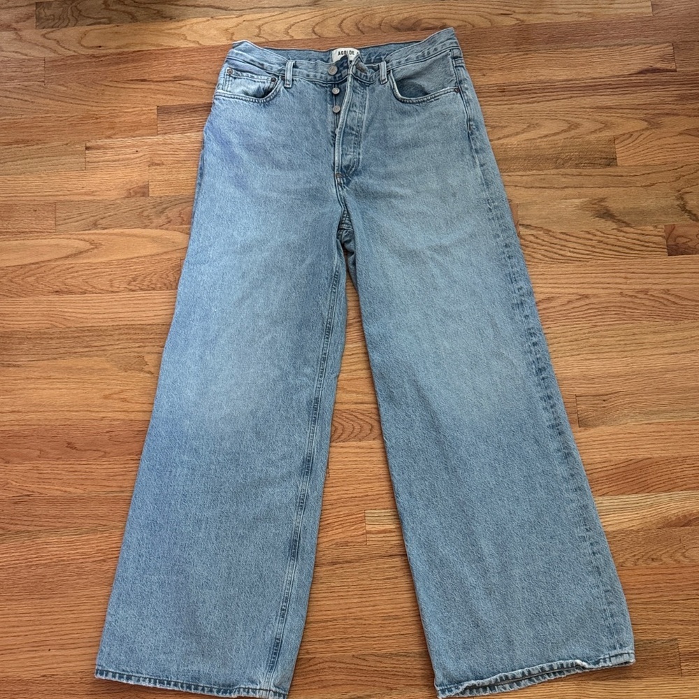 Agolde Dame Wide Leg Jeans